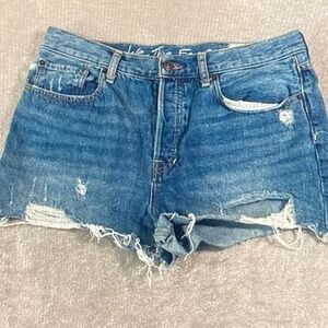 We The Free Classic Blue Ripped Jean Shorts